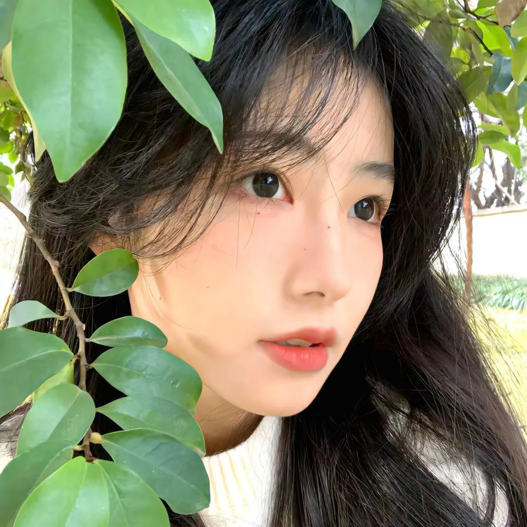 卡罗尔与星期二