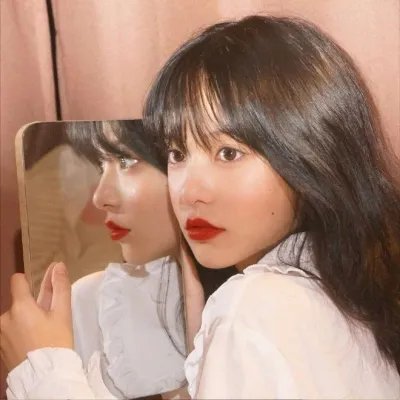 郁金香狂潮