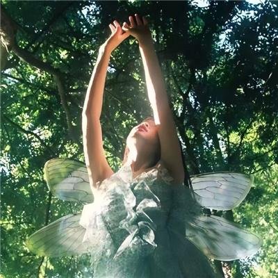 我签到就有钞能力